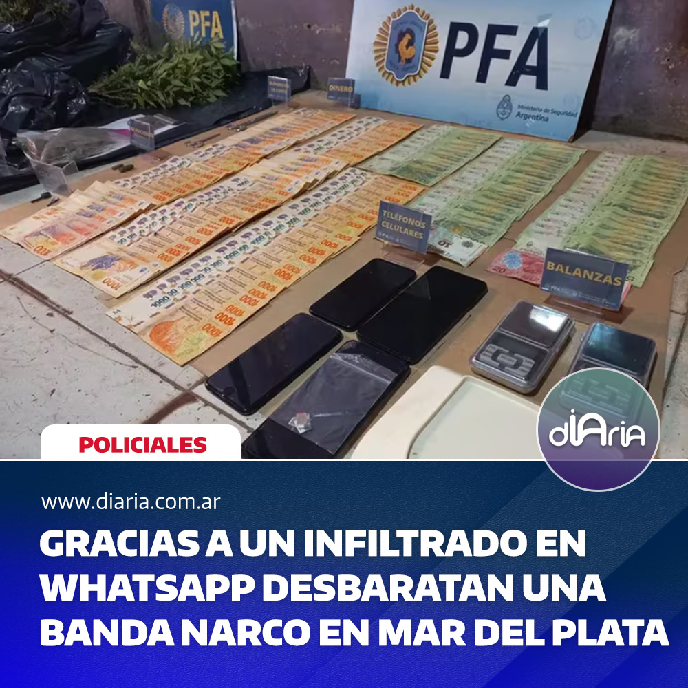 Gracias a un infiltrado en whatsapp desbaratan una banda narco en Mar del Plata