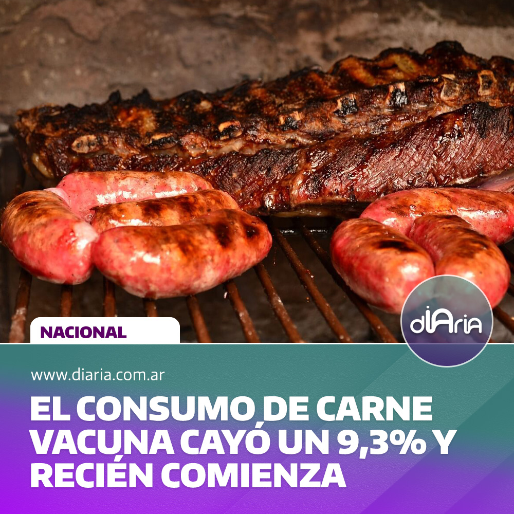 el consumo de carne vacuna cayó un 9,3% y recién comienza