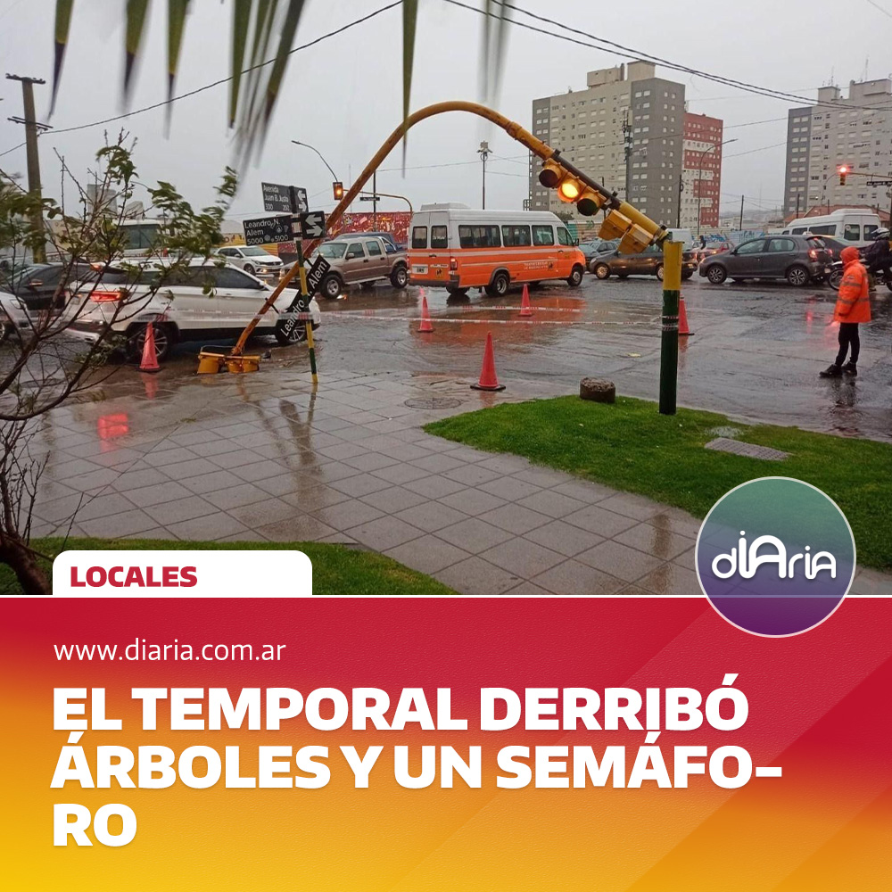 Hasta el momento El temporal derribó árboles y un semáforo