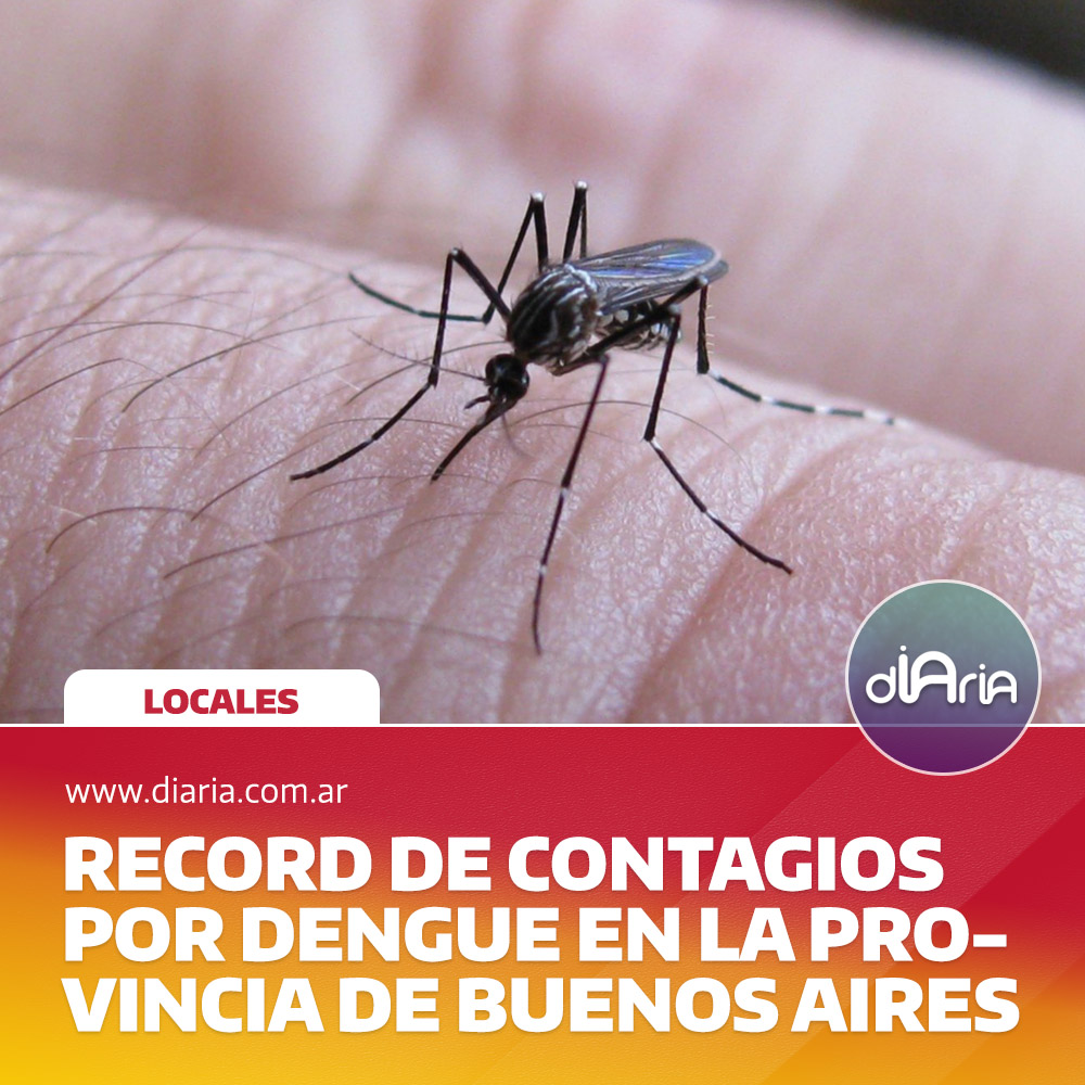 Record de contagios por dengue en la Provincia de Buenos Aires