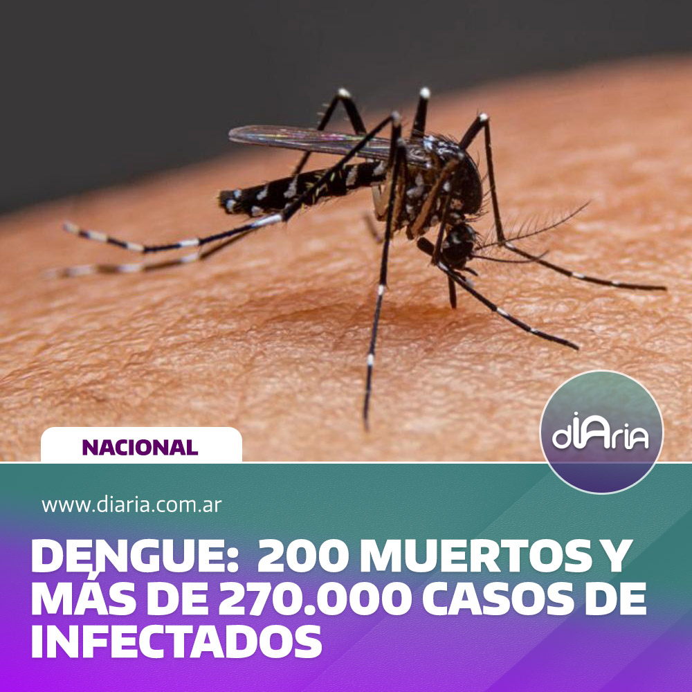 Dengue: 200 muertos y más de 270000 casos de infectados